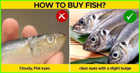 Here Are 8 Signs That Tell You If Fish Is Not Fresh.